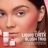 TULLAMORE Teak Romantic Liquid Cheek 8 Colors 5.2ml - 108#Swiperitual