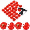 Lanties 31 Pcs Golf Cleats Set 30 Golf Shoe Spikes
