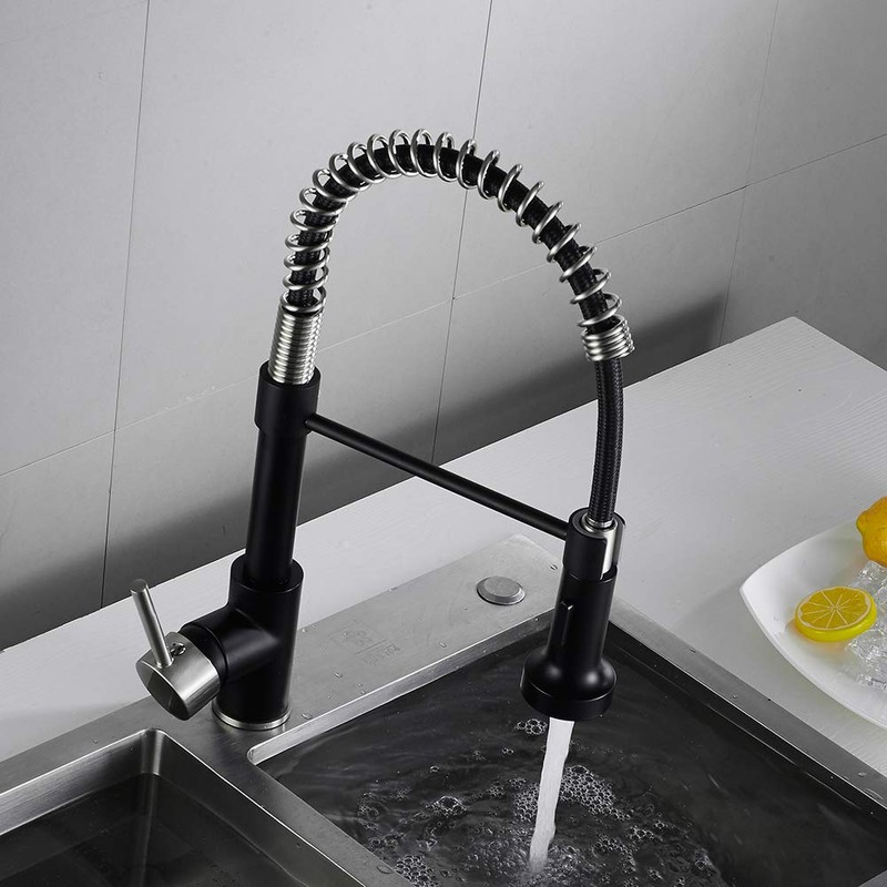 OWOFAN Low Lead Modern Single Handle Pull Down Sprayer Spring