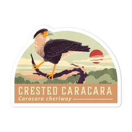 Die Cut Sticker Shorebirds at Sunset Collection, Crested Caracara, Bird, Contour Vinyl Sticker 3 to 6 inches, (Waterproof Decal for Cars, Water Bottles, Laptops, Coolers), Large