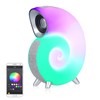 Conch music light creative smart BT audio APP control wake