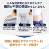 Lively Life Posture Supporter (Double Supports Spine Muscles and Pelvis