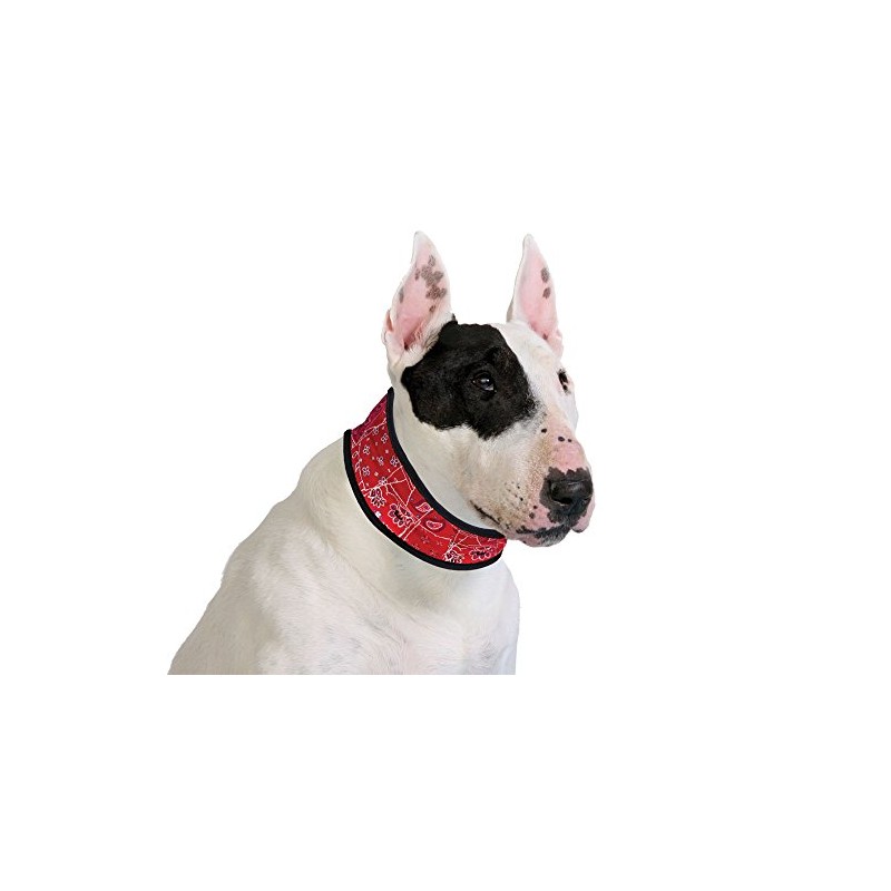 Aqua Coolkeeper Pacific Dog Collar with Fresh Function, Blue, red