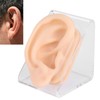Soft Silicone Ear Model Simulation Ear Acupuncture Practice Model for