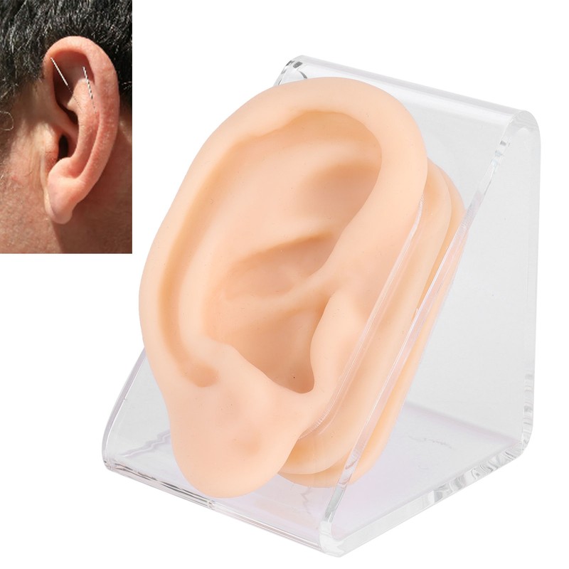 Soft Silicone Ear Model Simulation Ear Acupuncture Practice Model for
