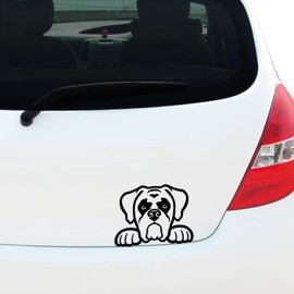 Peeking Boxer Dog Vinyl Decal Sticker for Car Window Bumper Pet Dog Puppy, Caravan Sticker, 150mm