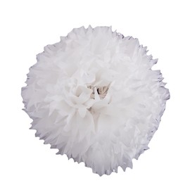 Gift Wrapping Tissue Paper 20x30 24 Pack by Feronia Packaging (White)