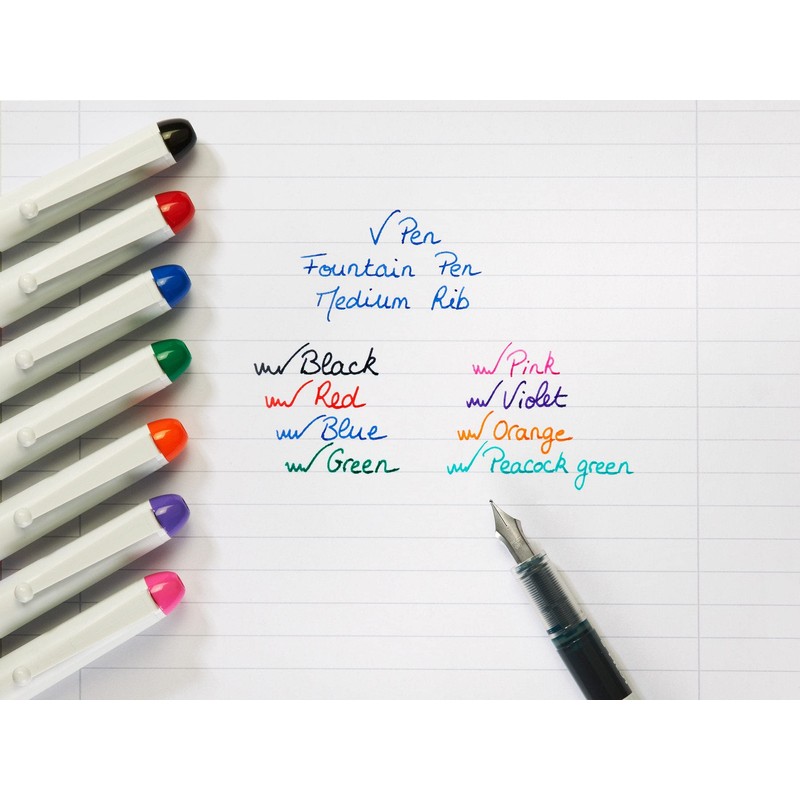 Pilot V Pen Disposable Erasable Fountain Pen 0.6mm Tip Medium