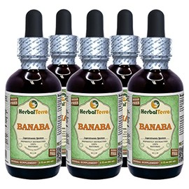 Banaba, Nicker Bean (Lagerstroemia Speciosa) Dried Leaf Alcohol-Free Liquid Extract (Brand Name: HerbalTerra, Proudly Made in USA) 5x2 oz