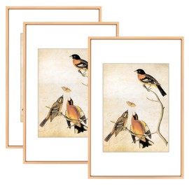 BKABOT 8x12 Picture Frame Set of 3, Gold Aluminum Metal Photo Frames with HD Glass, Fits 6x8 with Mat or 8 x 12 without Mat, Display for Wall