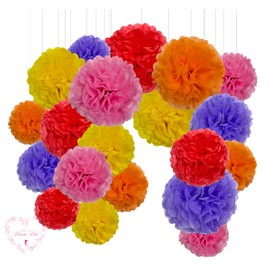 Pack of 20 Mixed Colours Rainbow Tissue Paper Pom Poms Wedding Birthday Party Hanging Garland Decorations (Rainbow Set)