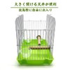 IYOIYA Bird Carrier, Small, Bird Cage, Small Size, Parakeet, Hospital