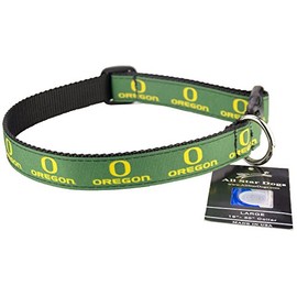 Oregon Ducks Ribbon Dog Collar - Medium