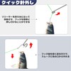 Booms Fishing クイック 針外し 釣り フックリムーバー ステンレス製 XW22 簡単 操作