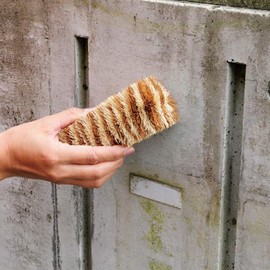アズマ たわし 角までコケ無いたわしロング 幅:約5cm 全長:約14cm コケ・汚れ落としに。 AZ728