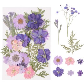 Flores Prensadas Secas para Resina, Bolsas de Flores Prensadas, Flores Secas Multiusos, Imitación de Flores Secas para DIY Resina Arte de Uñas Bodas álbumes de Recortes y más (Fantasía púrpura)
