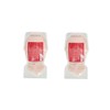 [Set of 2] Ford Hair Mochure Astalino N 17.6 oz