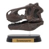73501 Dinosaur T-Rex Skull Mini Model (FDW – 501)