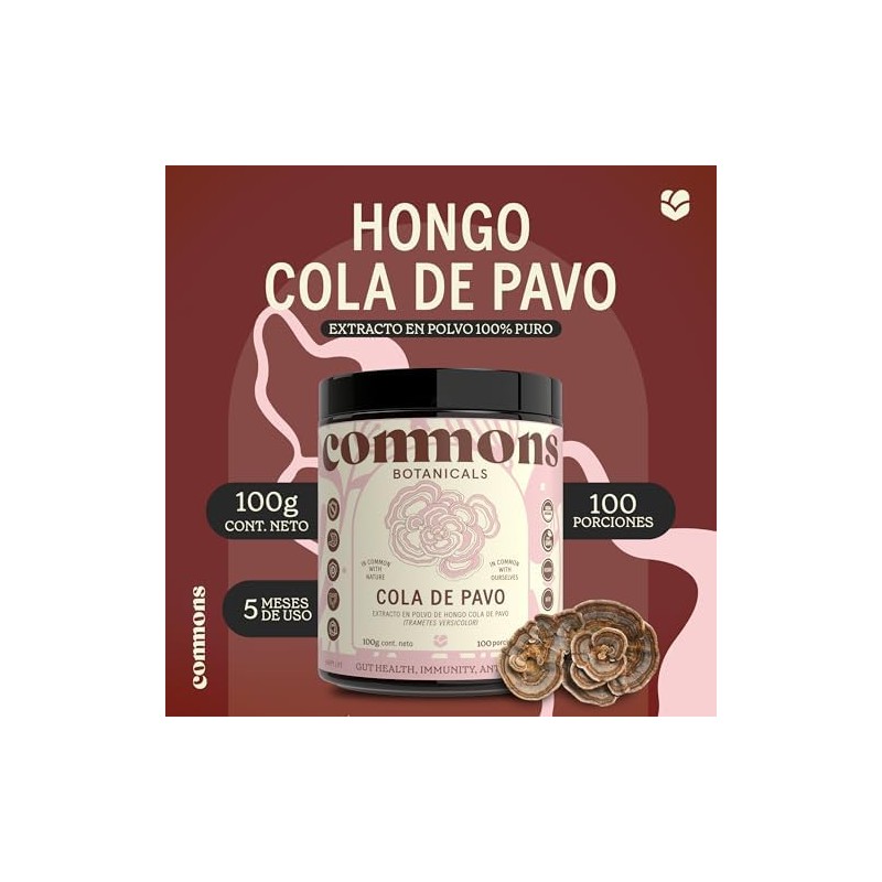 COMMONS Hongos Adaptógenos Hongo Cola de Pavo Extracto en Polvo