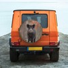 Replacement Car Tyre Cover, Cute Boar Print, Waterproof, Dustproof, Tyre