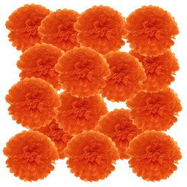 PATIKIL 4" Tissue Pom Poms Flowers, 20 Pack Paper Flower Ball for Wedding Bridal Shower Birthday Bachelorette Party Backdrop Decoration, Orange Red