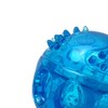 Fancy Pets Juguete Pelota Flexible para Perros GDE con Sonido