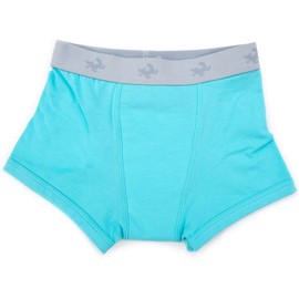 Conni Kids Tackers Sport Washable Pull Up Boxer Pants for Potty Training and Youth Incontinence, Aqua, size 4-6