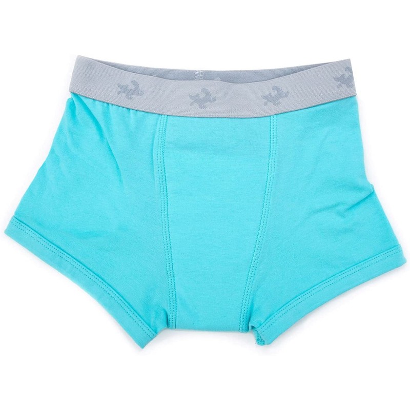 Conni Kids Tackers Sport Washable Pull Up Boxer Pants for