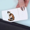 'Curious Calico Cat' Pill Box with Tablet Splitter (PI00032450)