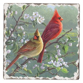 Thirstystone Cardinal Couple Single Tumbled Tile Stone Coaster with Protective Cork Backing Manufactured in The USA 4" Square, Artistic, Easily Wipes Clean