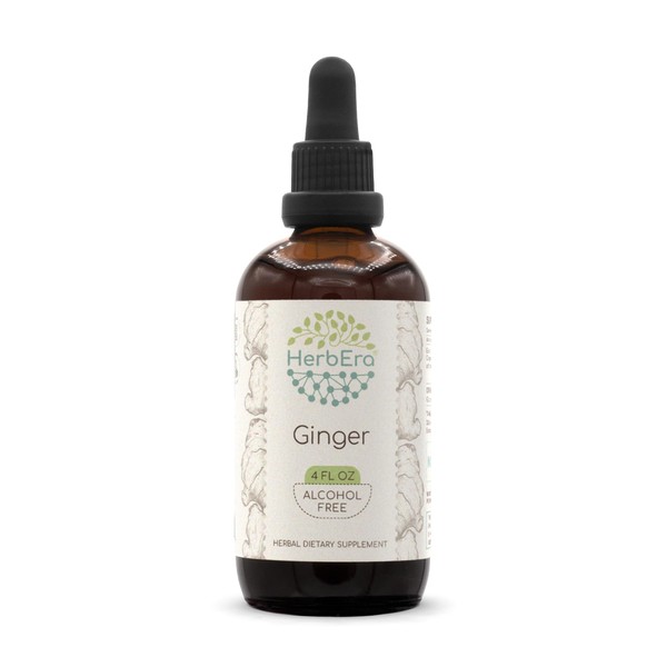 Ginger B120 Alcohol-Free Herbal Extract Tincture, Super-Concentrated Ginger (Zingiber officinale) 4 fl oz