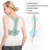 Adult Posture Corrector Brace Back Spine Support Fixing Belt Hunchback