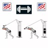 DUMBBELL Triceps Handle Pulldown Home Gym Cable Attachments Machine -
