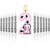 13 Pcs Cow Themed Birthday Candles - 0 to 9