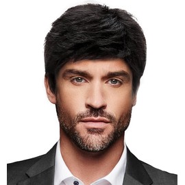 Royalfirst Mens Wig, Short Hair Wig For Male Guy Boy,Short Layered Cosplay Costume Party Halloween Wigs Natural Synthetic Hair (Natural Black Color)