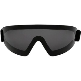 Birdz Eyewear Wing Goggles Black Frame with Smoke Lens Skydiving Extreme Sports 100% UV Protection Antifog Coated Adjustable Strap Great Peripheral Vision Neoprene Foam Padding Shatterproof