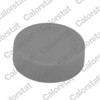 Calorstat by Vernet (RC0184) Coolant Tank Cap