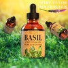 Rosemary Essential Oil (4 oz) Premium Therapeutic Grade, 100% Pure