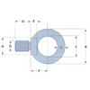 Threaded Lifting Eye Bolt M20 (20MM Self Colour Collar Eyebolt