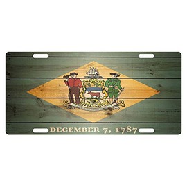 Delaware State Flag License Plate National Emblem US Patriotic Version