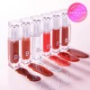 vanilla co [바닐라코] 볼륨 립 플럼퍼 (맥시) (8color) [볼륨 립