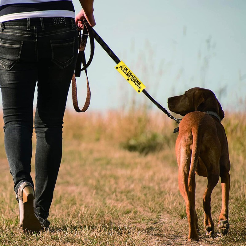 Funny Dog Leash Sleeve In Training Please Ignore Dog Leash