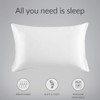 Bedsure Satin Pillowcase for Hair and Skin Silk Pillowcase 2