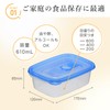 Iwasaki Kogyo Smart Flap Square (M) 2P