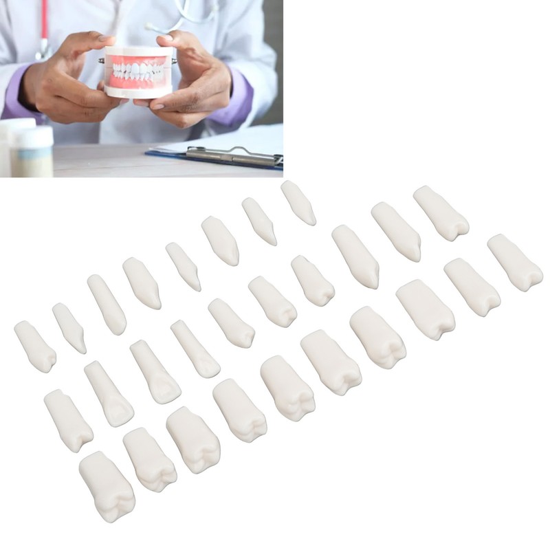 28Pcs Removable Teeth Piece Durable Plastic Removable Design False Teeth