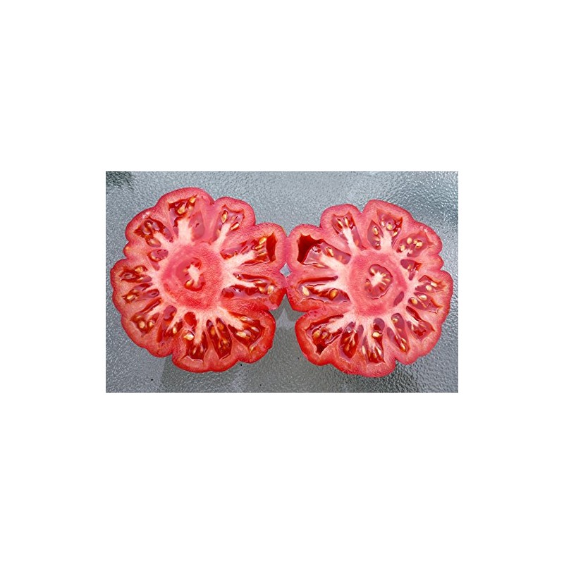 30 Costoluto Genovese Pomodoro Tomato Seeds, Heirloom Non-GMO, Low Acid,