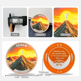 1 Year Sobriety Coin Gifts | Embrace The Sun AA Chip Medallion with Inspirational Quote | Narcotics Alcoholics Anonymous Anniversary Sobriety Gifts for Men Women in Recovery
