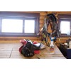 Absolutely Clean Barn, Stall, or Horse Trailer Deodorizer, Natural-Based Cleaning