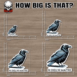 No Gods No Masters Sticker French Ni Dieu Ni Maitre Retro Humor Vintage Crow Waterproof Vinyl Bumper Sticker for Water Bottle Tumbler Hard Hat Helmet Car Laptop