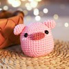 CrochetBox CROCHET BOX Complete Crochet Set for Beginners, Pig Crochet